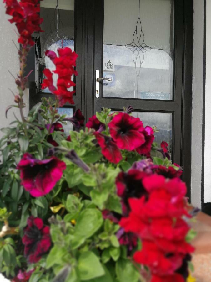 The Three Arches Bed and Breakfast Louisburgh Exteriör bild